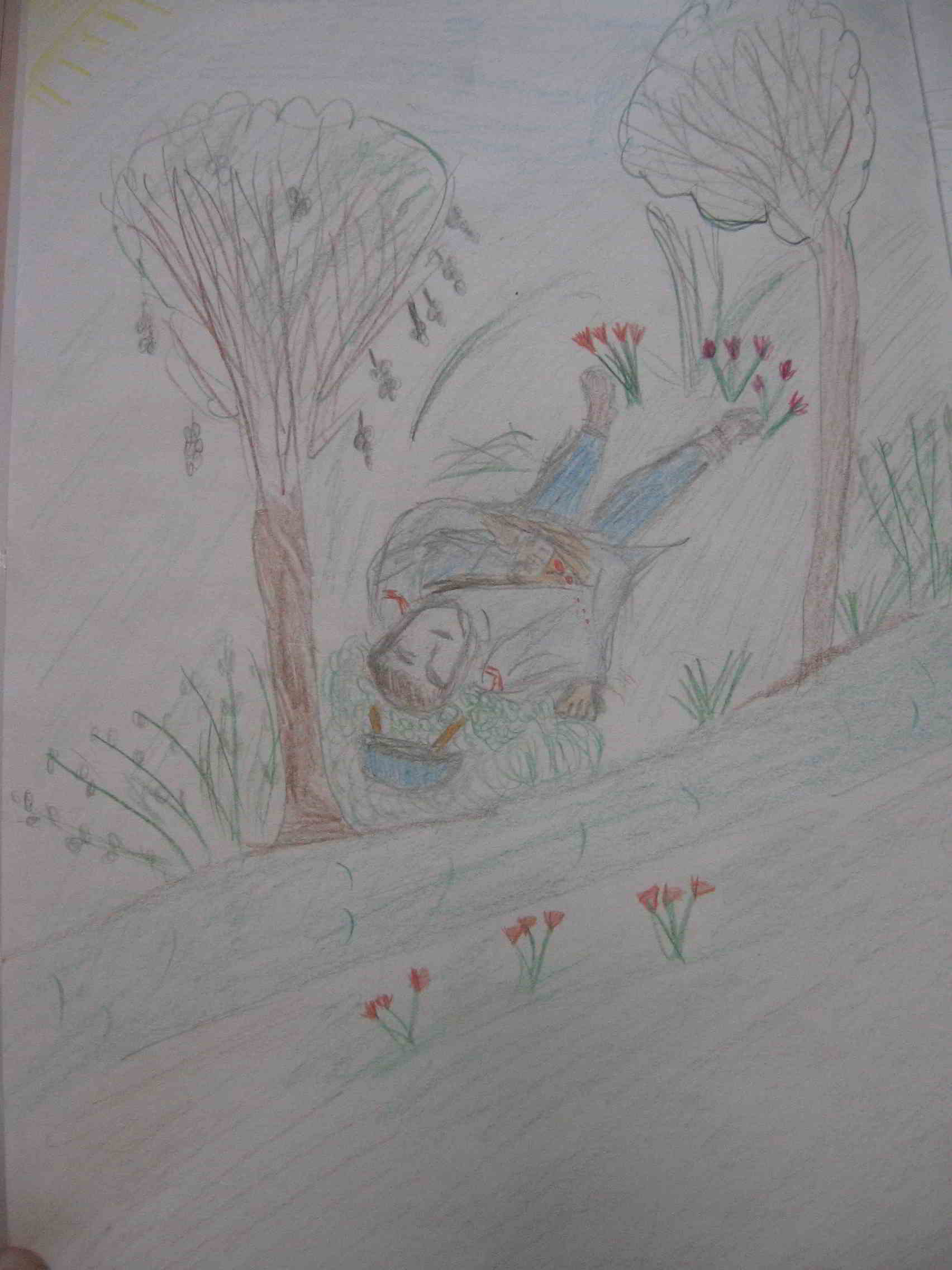 Illustration Le Dormeur Du Val Dessin Facile